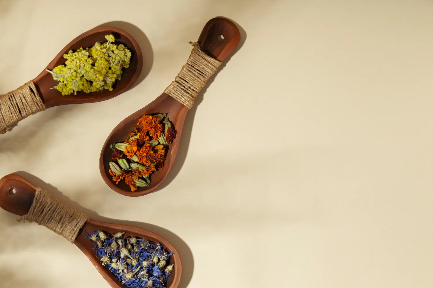 Categoría: Fitoterapia y Medicina Herbal